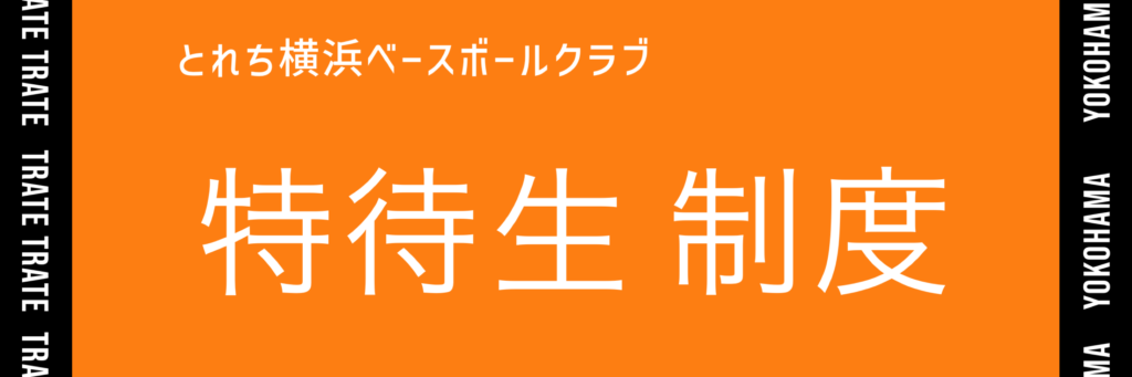 少年野球チーム　とれち横浜